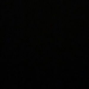 Meet your Posher, Bella